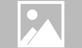 动漫女神天使,动漫女神的传奇之旅